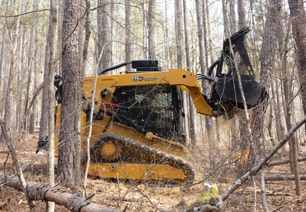 Land clearing. brush removal. tree removal